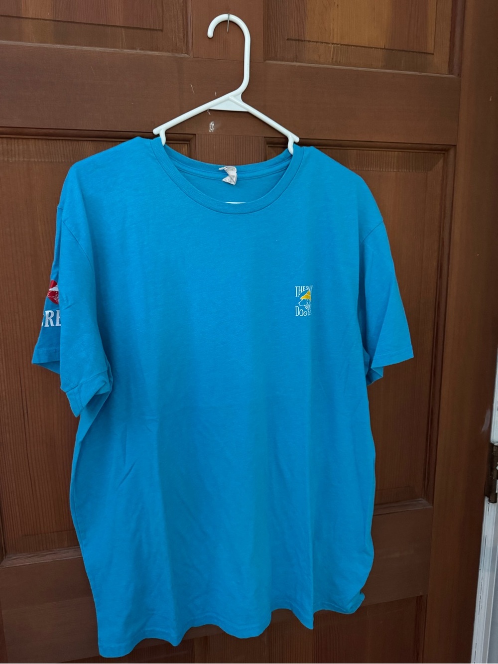 Men's Teal Short-Sleeve Graphic Crewneck T-Shirt